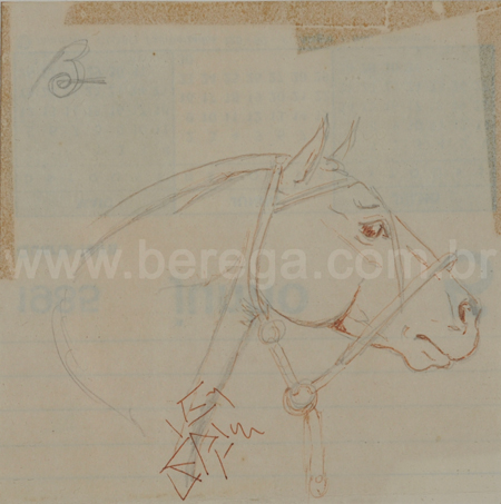 Desenho à lápis de cabeça de cavalo crioulo - não datado